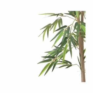 Zoom Pianta di Bamboo ornamentale 140 cm. 560 foglie