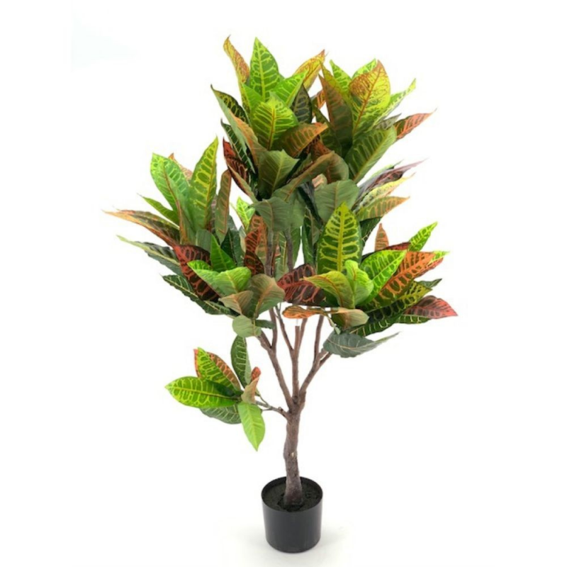 Pianta di Croton ornamentale 120 cm. 134 foglie