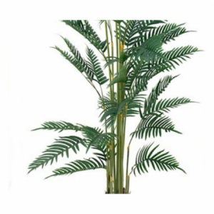 Zoom Pianta ornamentale Palma Areca 180 cm. con vaso