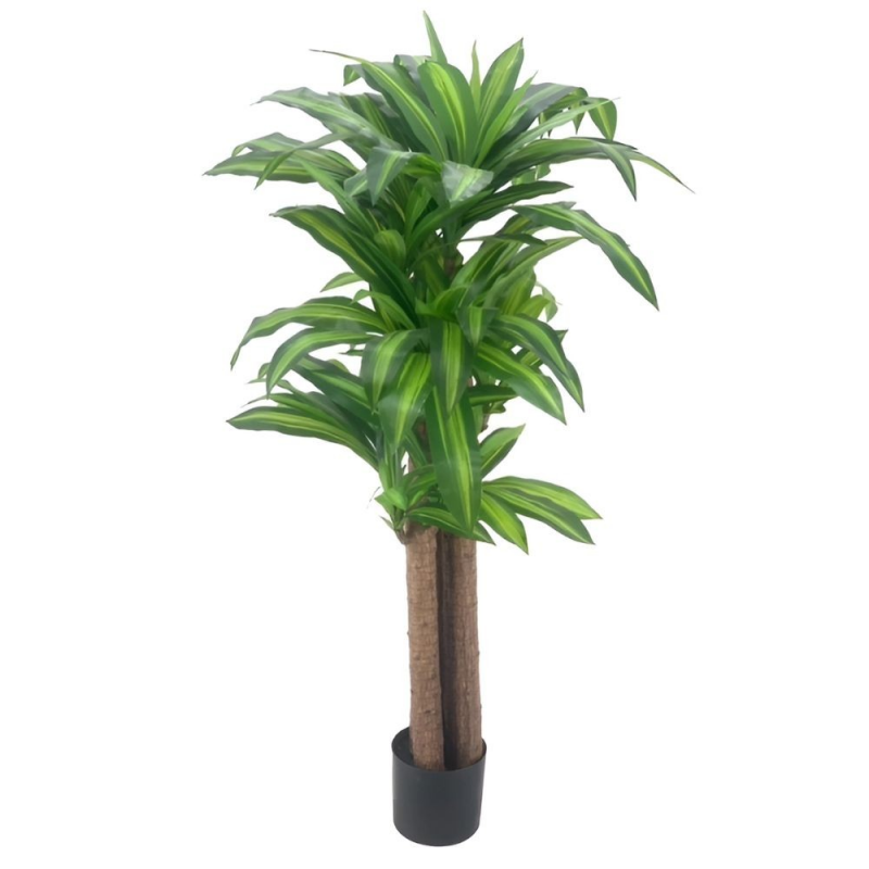 Pianta ornamentale Dracena 150 cm. con vaso